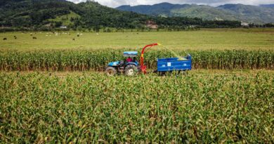 Agricultores de Biguaçu agora podem contar com colhedora com capacidade dobrada