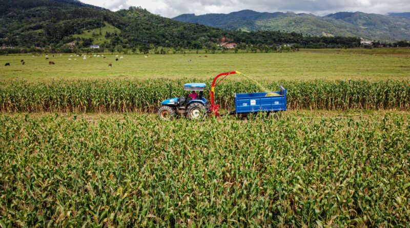 Agricultores de Biguaçu agora podem contar com colhedora com capacidade dobrada